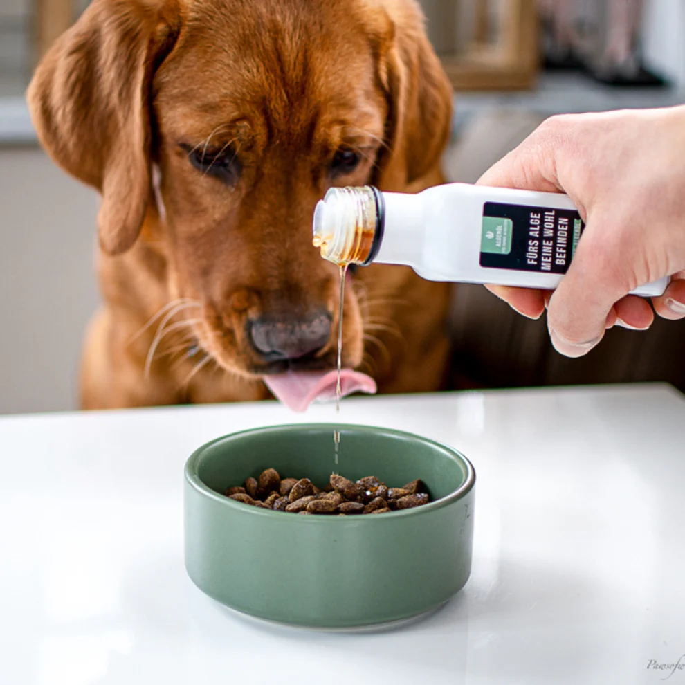 100% Algenöl, Tales&Tails (EPA, DHA, Omega-3-Fettsäuren, entzündungshemmend) – MHD 06/25 – Bild 3