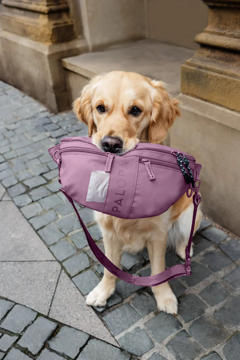 Palopa Leckerlibeutel – Emma, berry (mehrere Fächer, wasserabweisendes Material) – Bild 5
