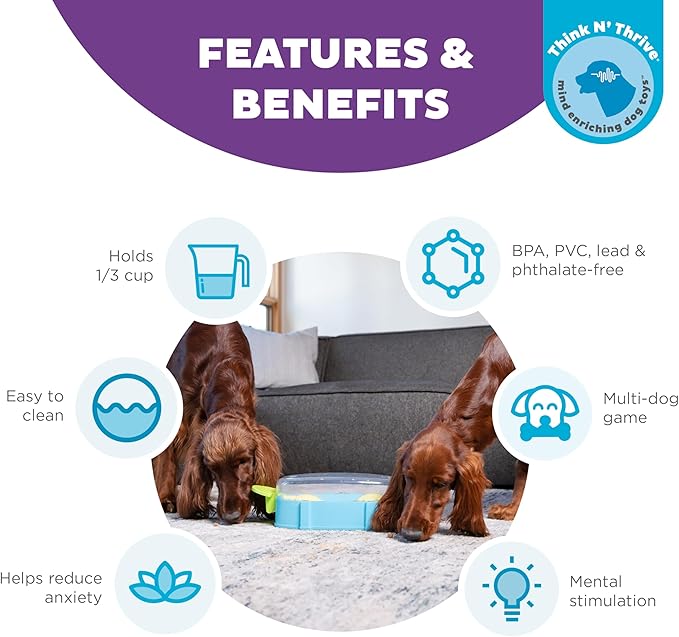 Intelligenzspielzeug PAW N‘ PLAY Nina Ottosson Hundespielzeug, drücken und bewegen, bpa-frei (Level 2) – Bild 6