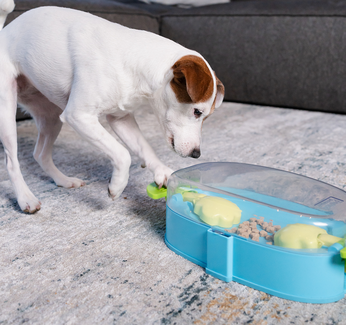 Intelligenzspielzeug PAW N‘ PLAY Nina Ottosson Hundespielzeug, drücken und bewegen, bpa-frei (Level 2) – Bild 5