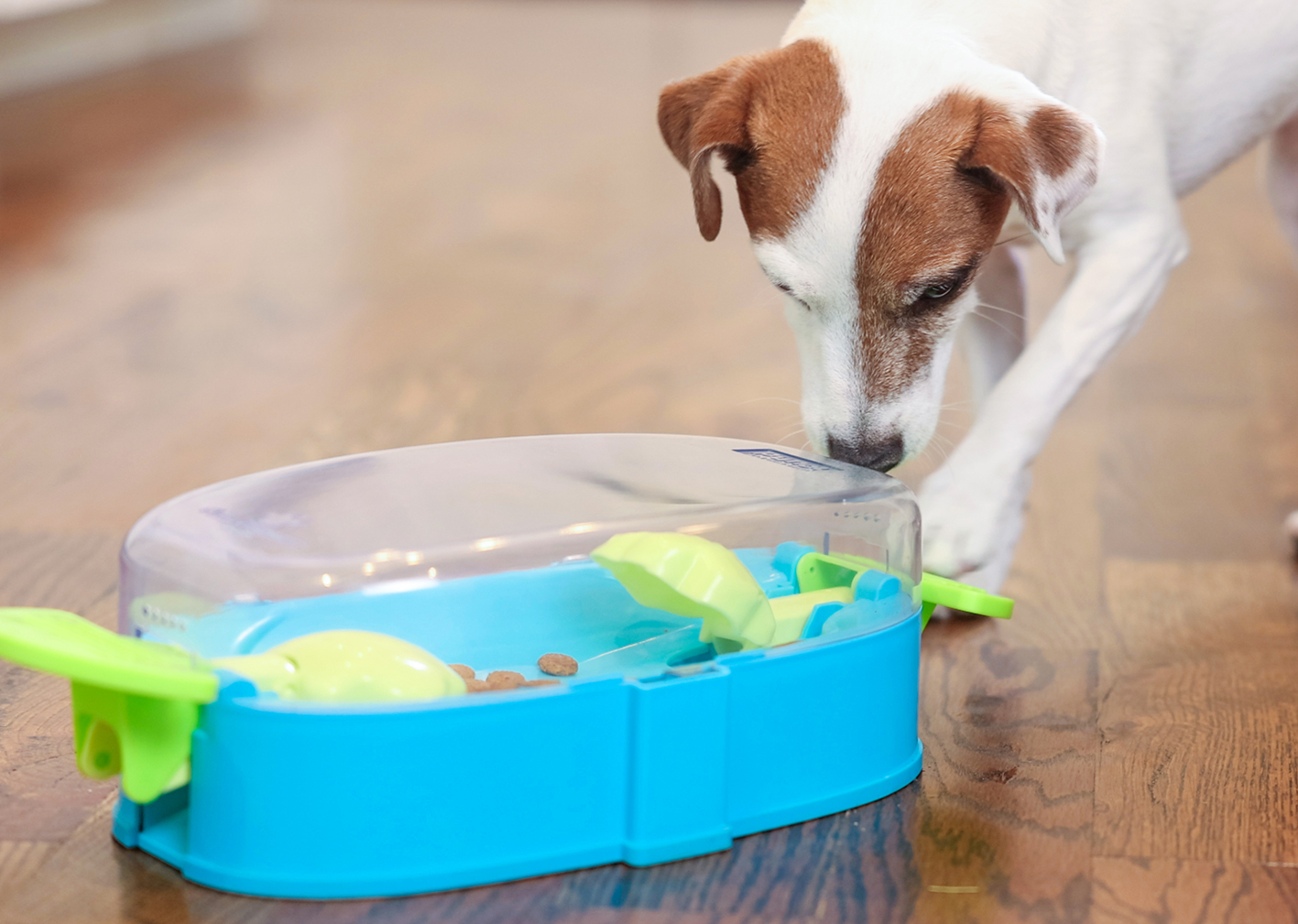 Intelligenzspielzeug PAW N‘ PLAY Nina Ottosson Hundespielzeug, drücken und bewegen, bpa-frei (Level 2) – Bild 4