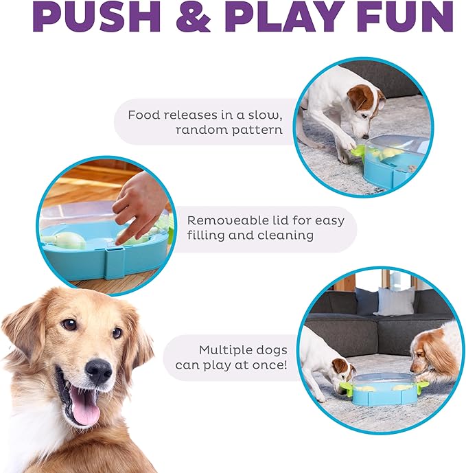 Intelligenzspielzeug PAW N‘ PLAY Nina Ottosson Hundespielzeug, drücken und bewegen, bpa-frei (Level 2) – Bild 7