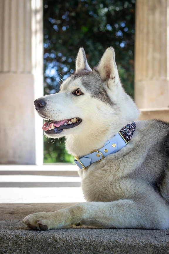 Halsband aus Stoff & Biotahen, Lennon, XS, S (atelier markiz aus Paris, handgemacht) – Bild 4