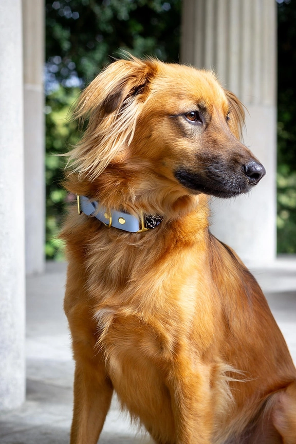 Halsband aus Stoff & Biotahen, Lennon, XS, S (atelier markiz aus Paris, handgemacht) – Bild 5