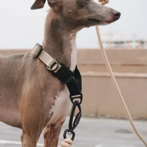 Lambwolf AVA Martingale Halsband (wasserdicht, geruchsdicht, ausbruchsicher, Metallschnalle), beige (L)