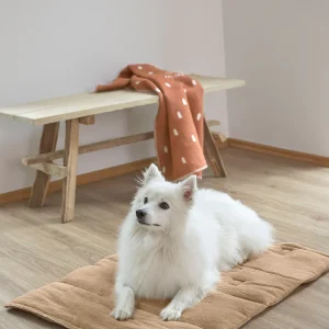 Palopa Hundematte – Alma, humus, S (78x60x1,5cm)