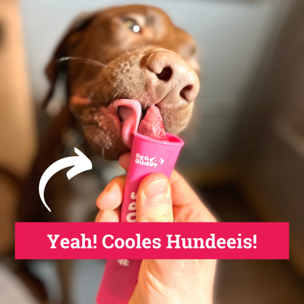 ICEPOP für DIY Hundeeis (1 Stück) – Bild 5