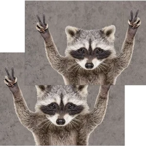 Fußmatten Fußabstreifer DECOR cooler Waschbär lustig Tier grau waschbar 2 Größen