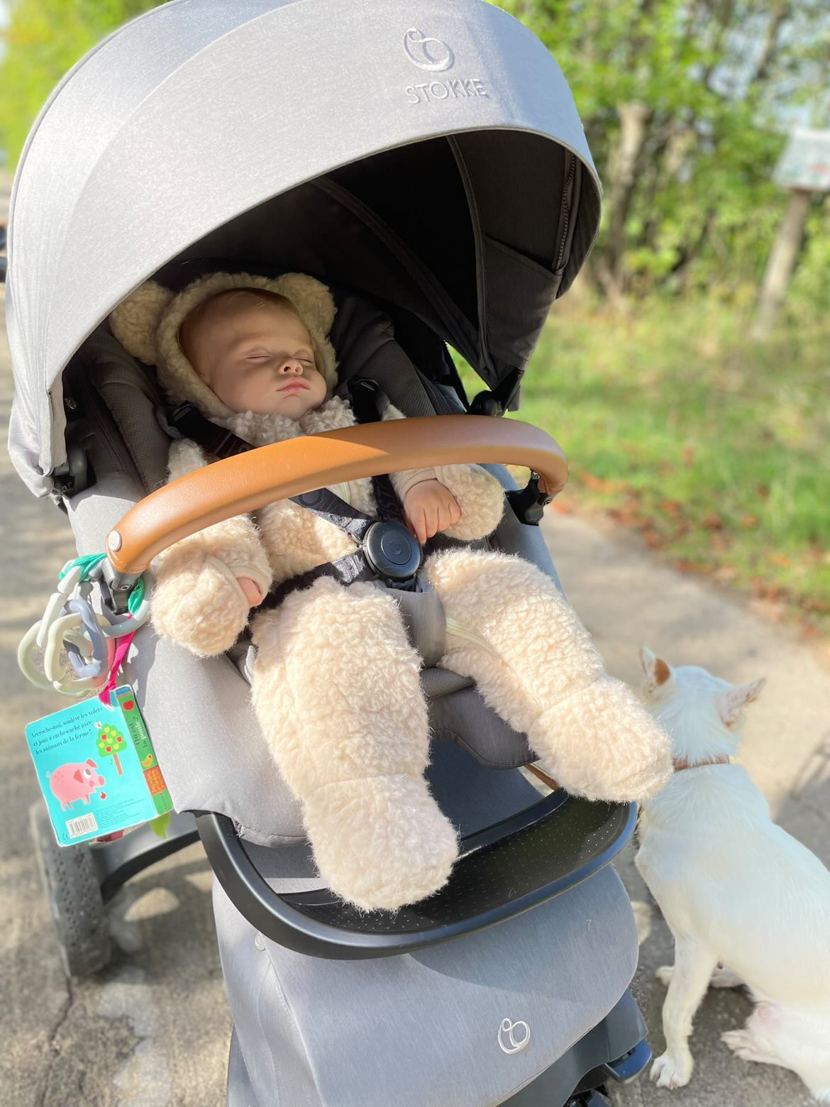 Alwero – Baby Overall „BEARS“, Biowolle, Beige – Bild 3