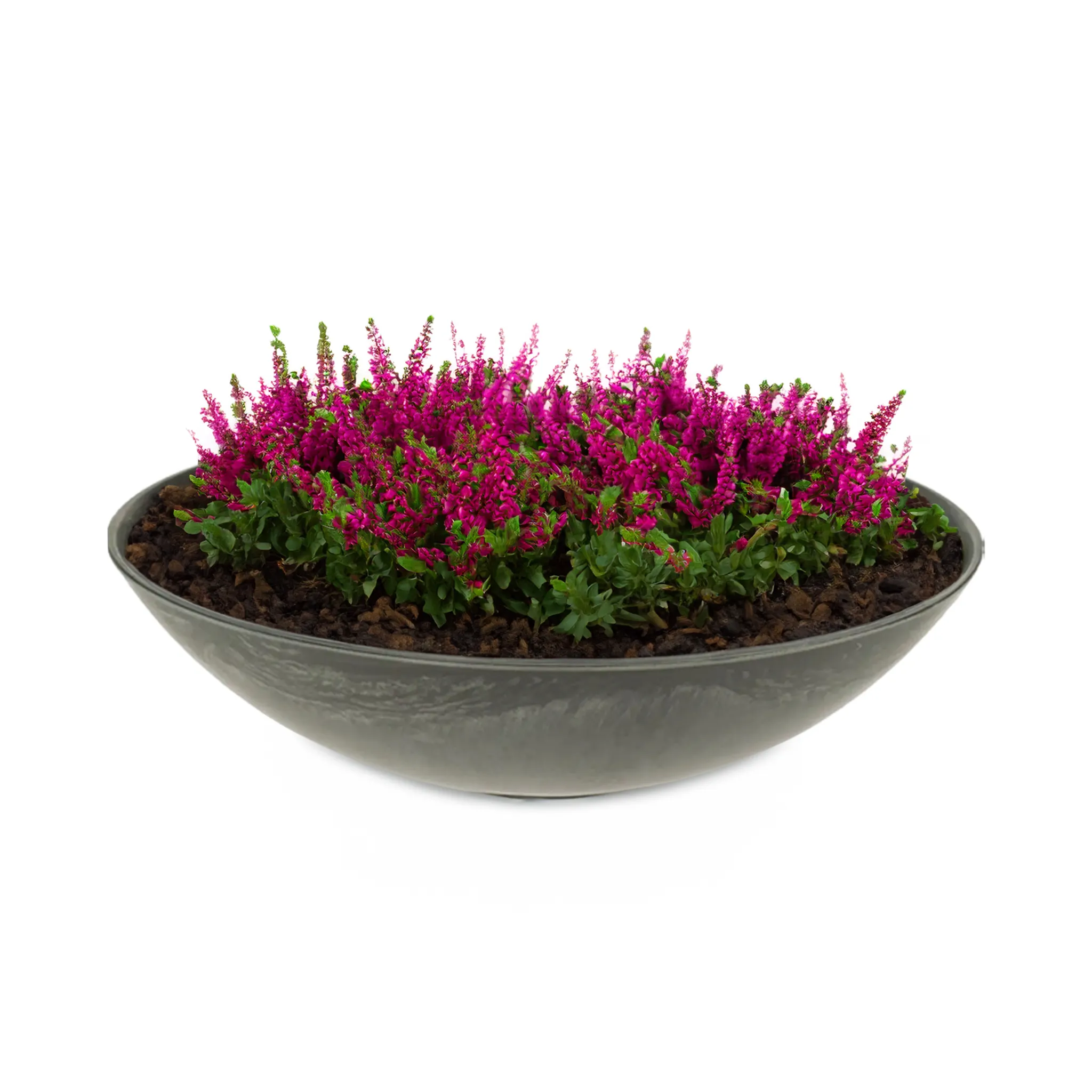 Pflanzschalen für draußen – Dekoschalen viele Farben & Größen – Bild 5