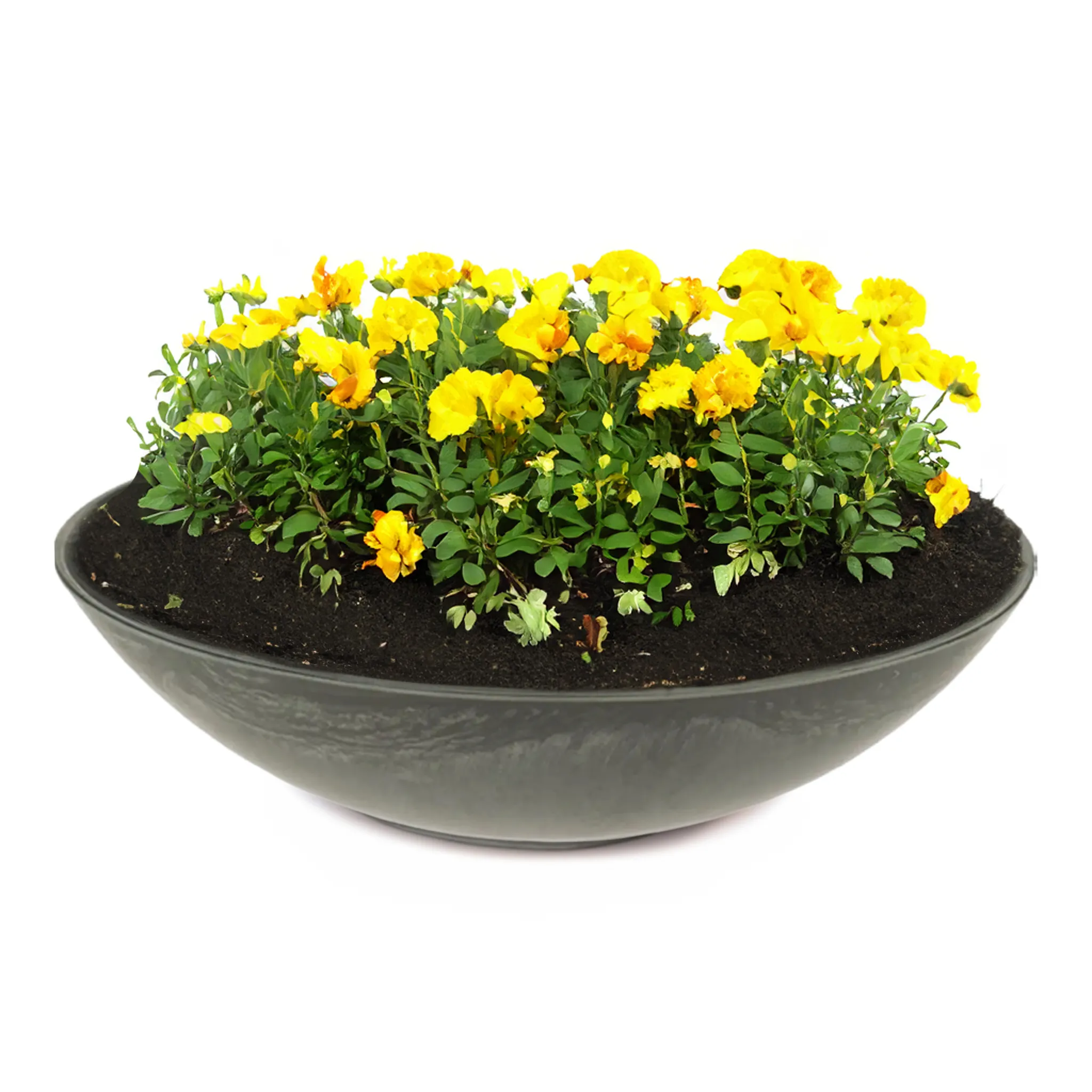 Pflanzschalen für draußen – Dekoschalen viele Farben & Größen – Bild 7