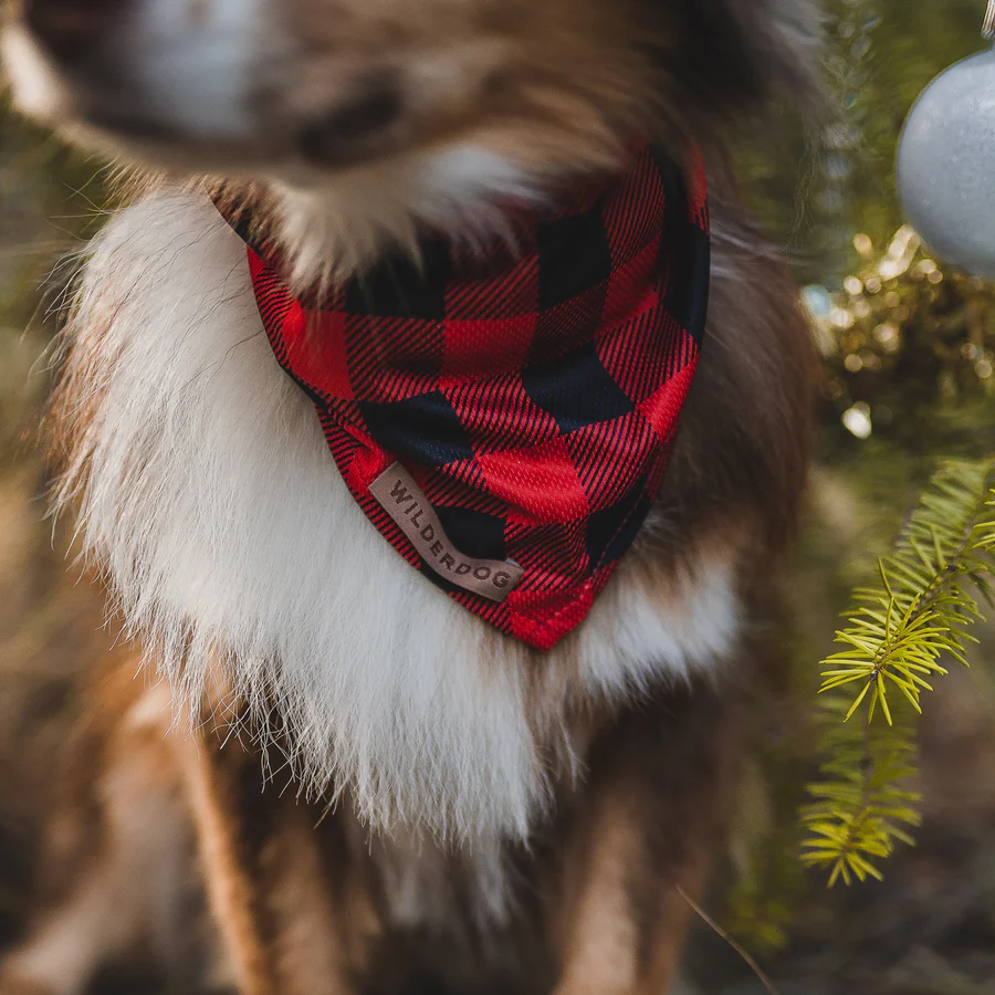 Wilderdog Kühl-Hundebandana, Buffalo Plaid Karo rot/schwarz – Bild 2