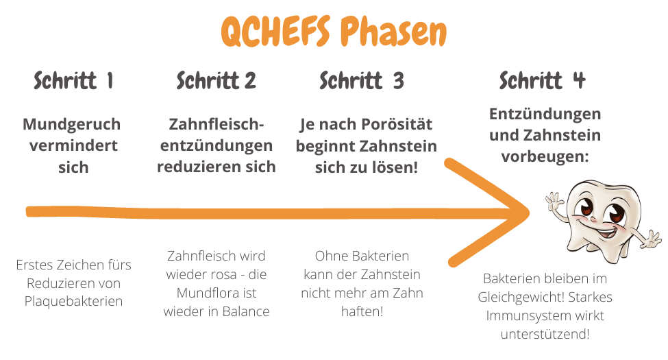 QCHEFS Zahnputzkohle (ZĂ€hne sauber & Darm gesund) â Bild 9
