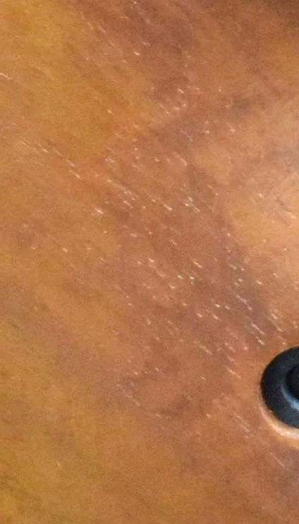 SIG, P 210, Ausführung 18, glatt, braun, Nußbaum – Bild 5