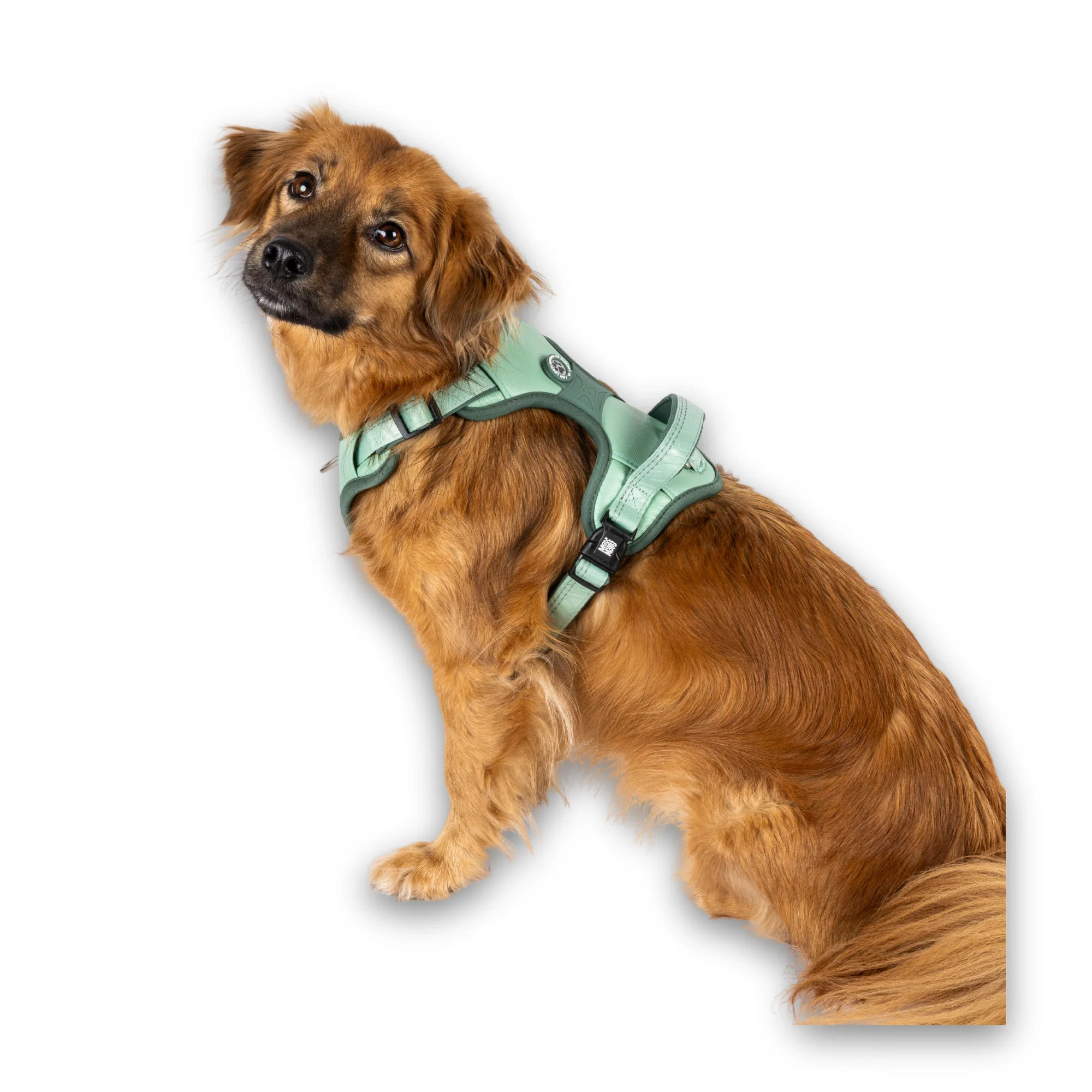 GOTCHA! Smart ID Sport Geschirr – Matrix 2.0, Jade (weich, gepolstert, Brustring, Haltegriff), S, M, L – Bild 7