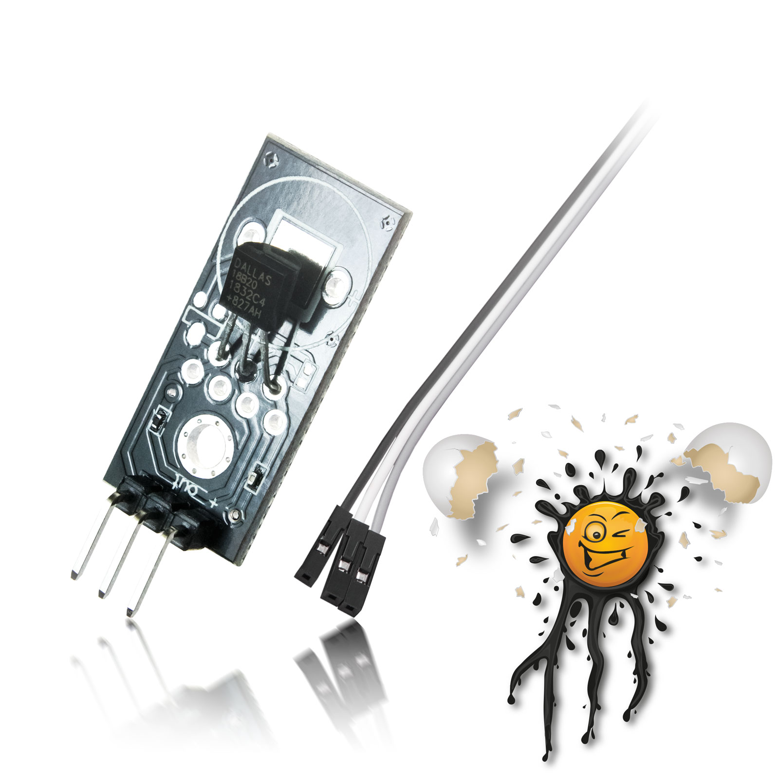 DS18B20 Temperatur Sensor Modul – Bild 5