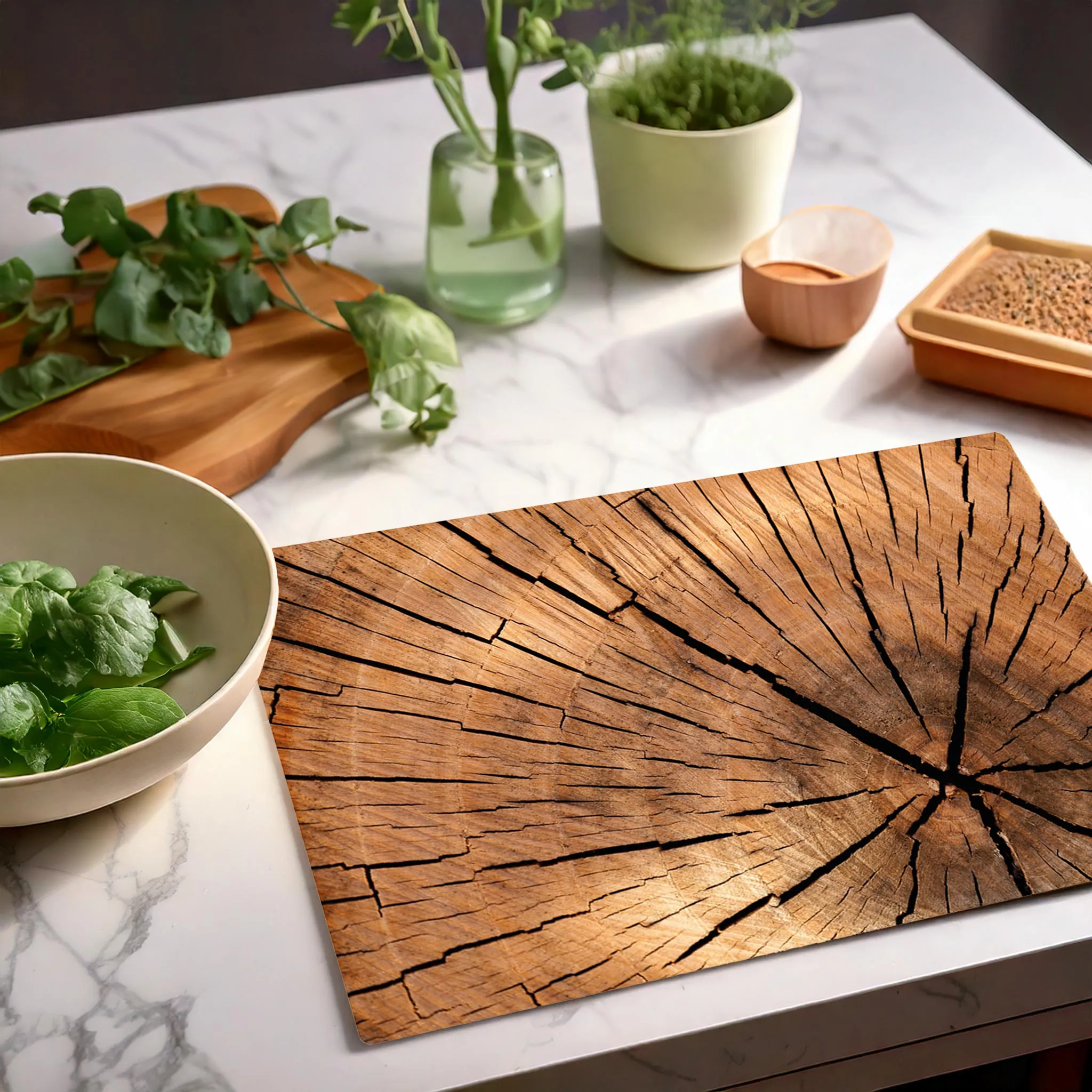 Tischsets Platzsets Holzoptik MOTIV Holzscheibe Baumstamm 12 Stk. abwaschbar – Bild 7