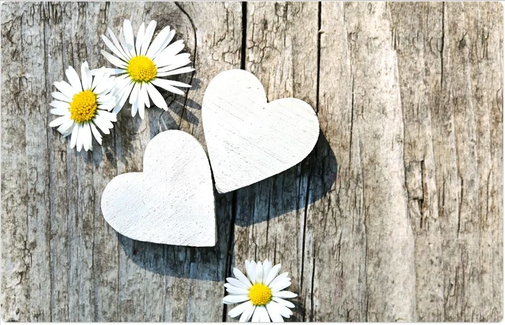 Tischsets Platzsets MOTIV Gänseblümchen & Holz 4 Stk. abwaschbar – Bild 4