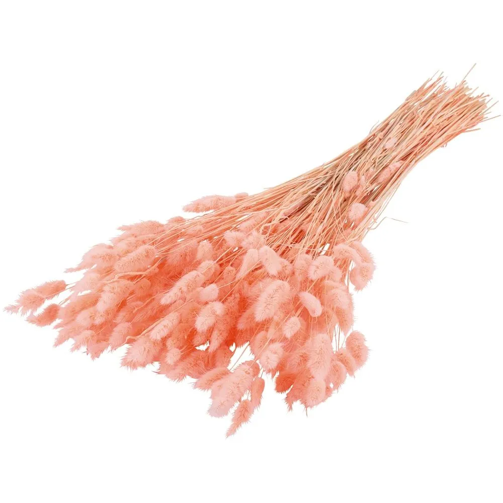 Trockenblumen Deko Bund Phalaris gefärbt verschiedene Farben – Bild 5