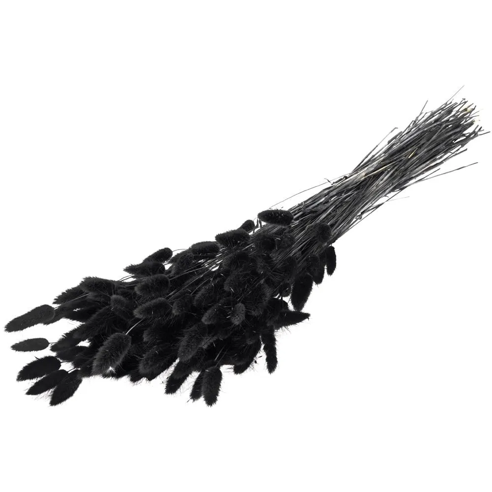 Trockenblumen Deko Bund Phalaris gefärbt verschiedene Farben – Bild 7