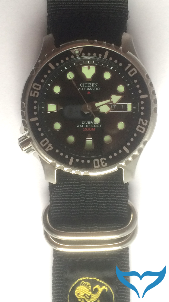 UhrenArmband TaucherUhr Poseidon Gurtband Armband 19 20 21 22 23 24 25 mm Neu – Bild 4