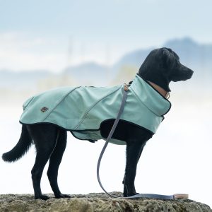 Softshell-Jacke Milan, atmungsaktiv, wind- und wasserabweisend, Zweiwege-Reißverschluß, Klettverschluss, Kopföffnung (Winter Lake, Magnolia Blossom), im Laden -50%