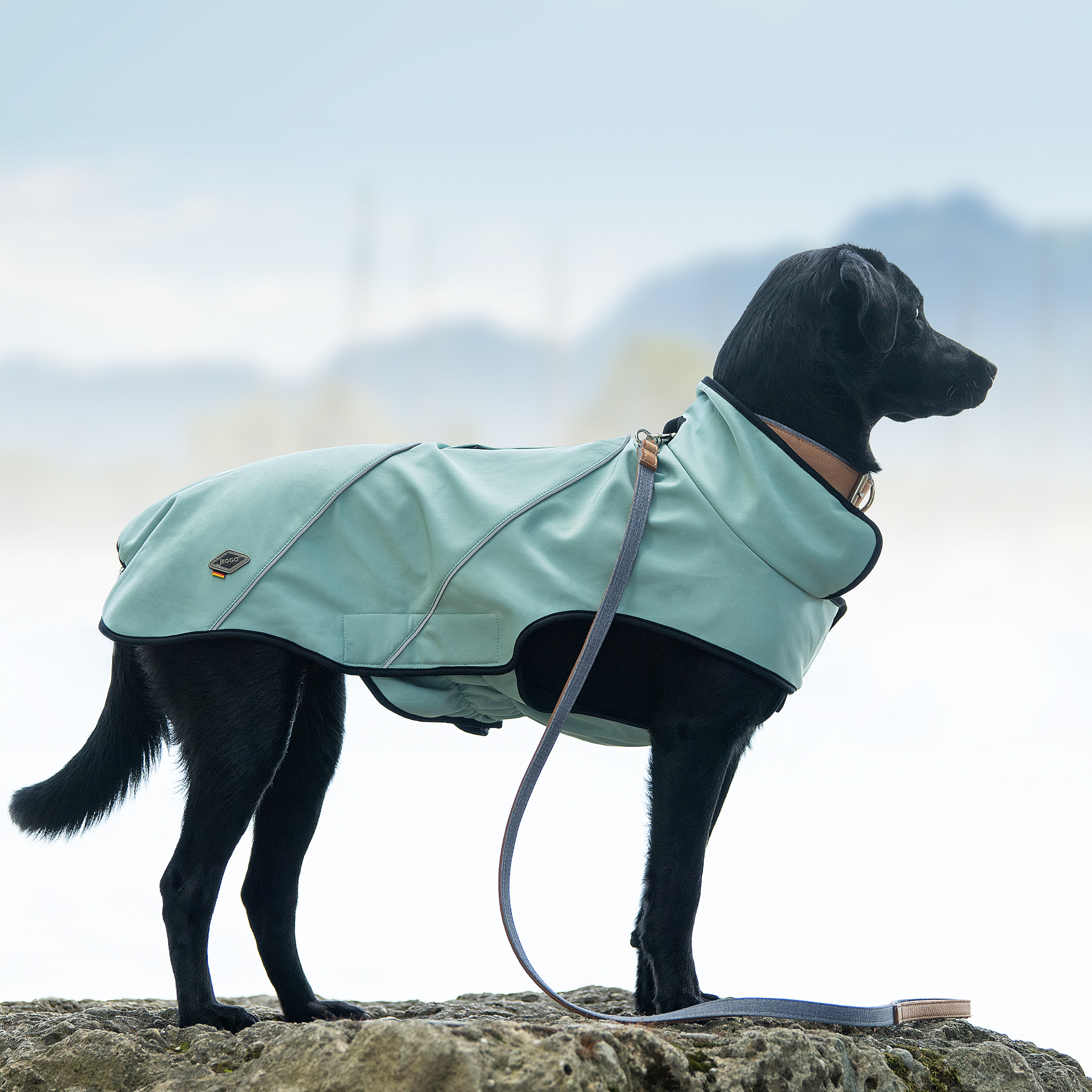 Softshell-Jacke Milan, atmungsaktiv, wind- und wasserabweisend, Zweiwege-Reißverschluß, Klettverschluss, Kopföffnung (Winter Lake, Magnolia Blossom), im Laden -50% – Bild 2