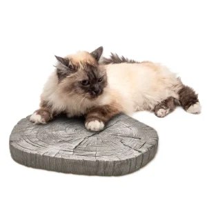 XXL Trittsteine Baumscheiben Holzoptik Garten 1 Paar Beton Tritt-Steine Ø 30 cm