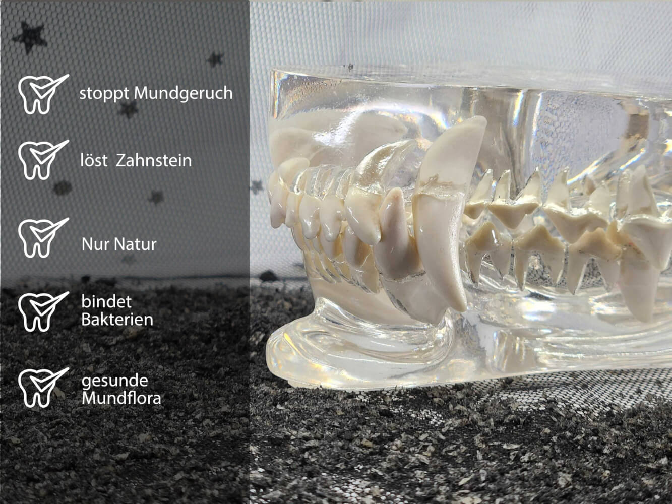 QCHEFS Zahnputzkohle (ZĂ€hne sauber & Darm gesund) â Bild 3