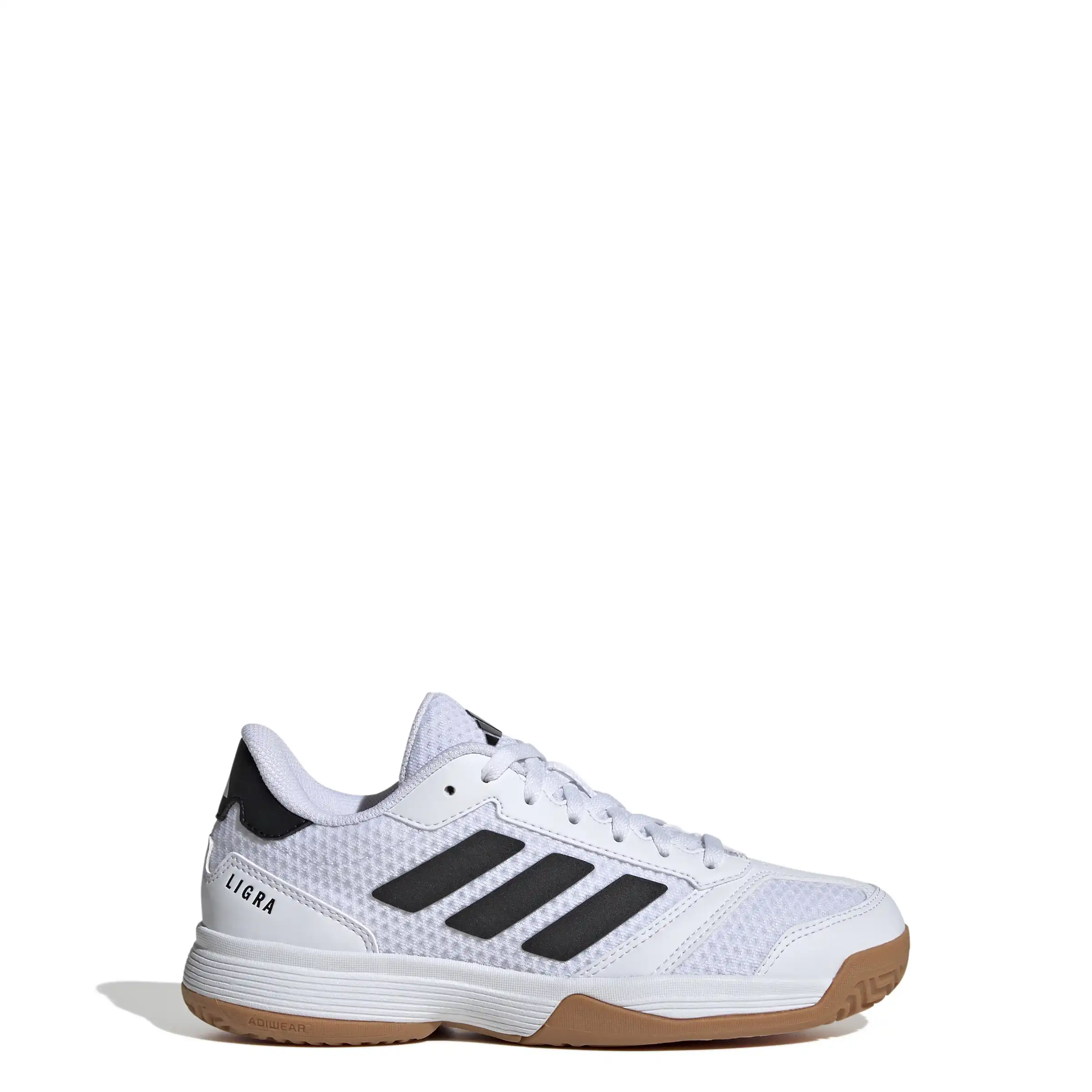 Ligra 8 K – Bild 3