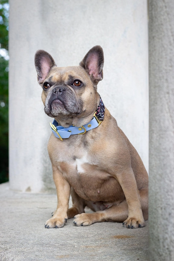 Halsband aus Stoff & Biotahen, Lennon, XS, S (atelier markiz aus Paris, handgemacht) – Bild 3