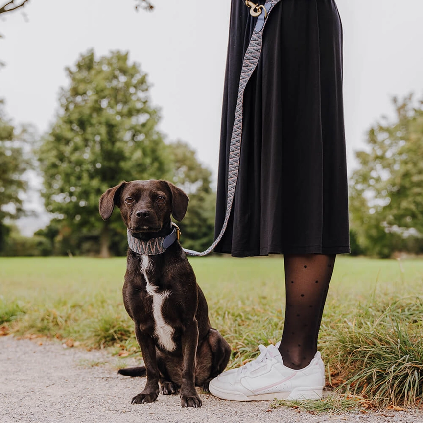 Hey Lana Premium Hundehalsband gepolstert, Rindsleder, gewebte Biobaumwolle, Neopren „Trés chic blau/grau/orange“ XS, S, M, L – Bild 6