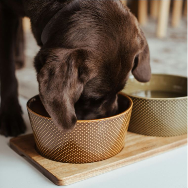 Cloud7 Napf, Alain Cinnamon (0,5L) – Bild 4