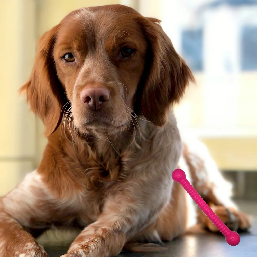 Moby Hundestock, extrem robust, PVC-frei, schwimmt, made in germany, 26x4cm, medium (orange, pink, türkis, gelb) – Bild 2