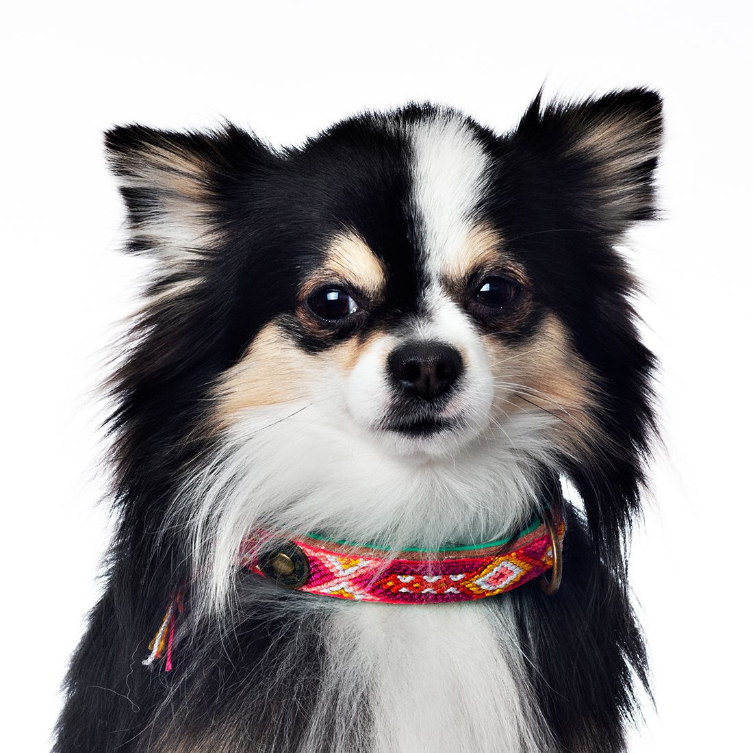 Perlen-Halsband „Puppy Rose“ (XXXS) – Bild 4