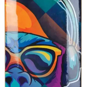 Longboard 41' CoolChimp