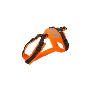 annyx Suchhund-Geschirr leuchtorange/braun, L (nur im Laden erhältlich)