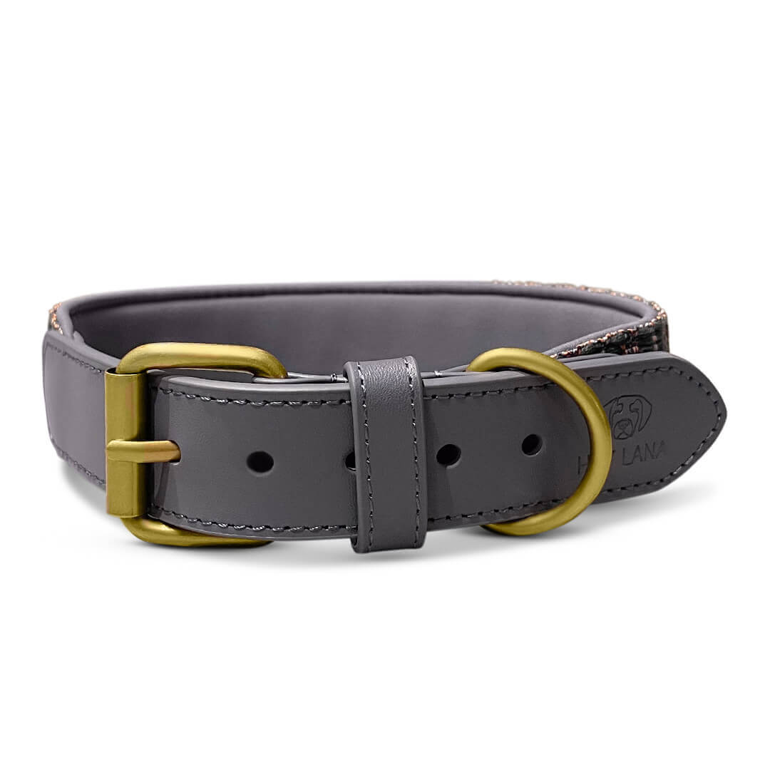 Hey Lana Premium Hundehalsband gepolstert, Rindsleder, gewebte Biobaumwolle, Neopren „Trés chic blau/grau/orange“ XS, S, M, L – Bild 4