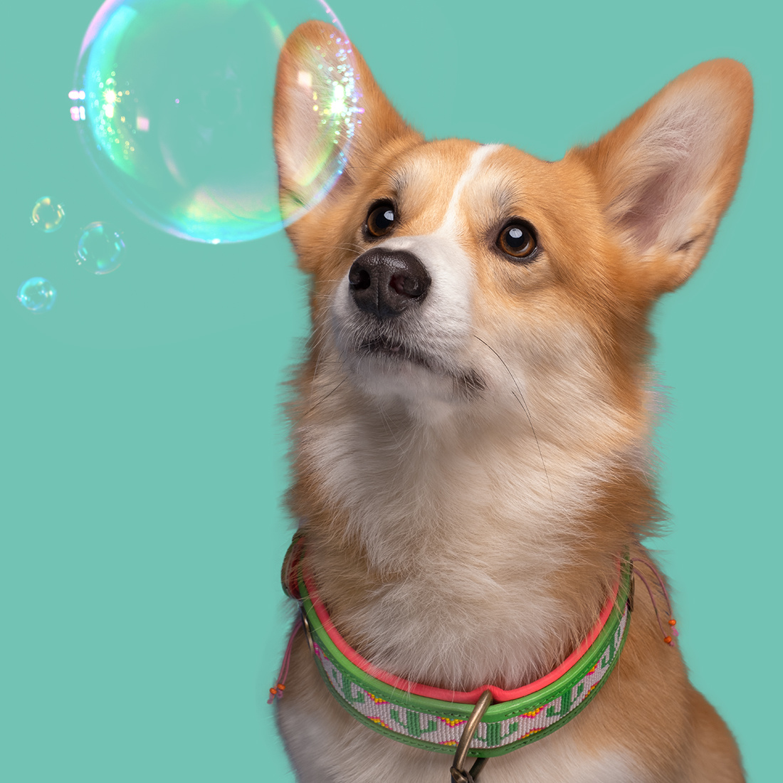 DWAM Leder-Perlen-Halsband „Tropical Summer“ (S, L, XL) – Bild 5