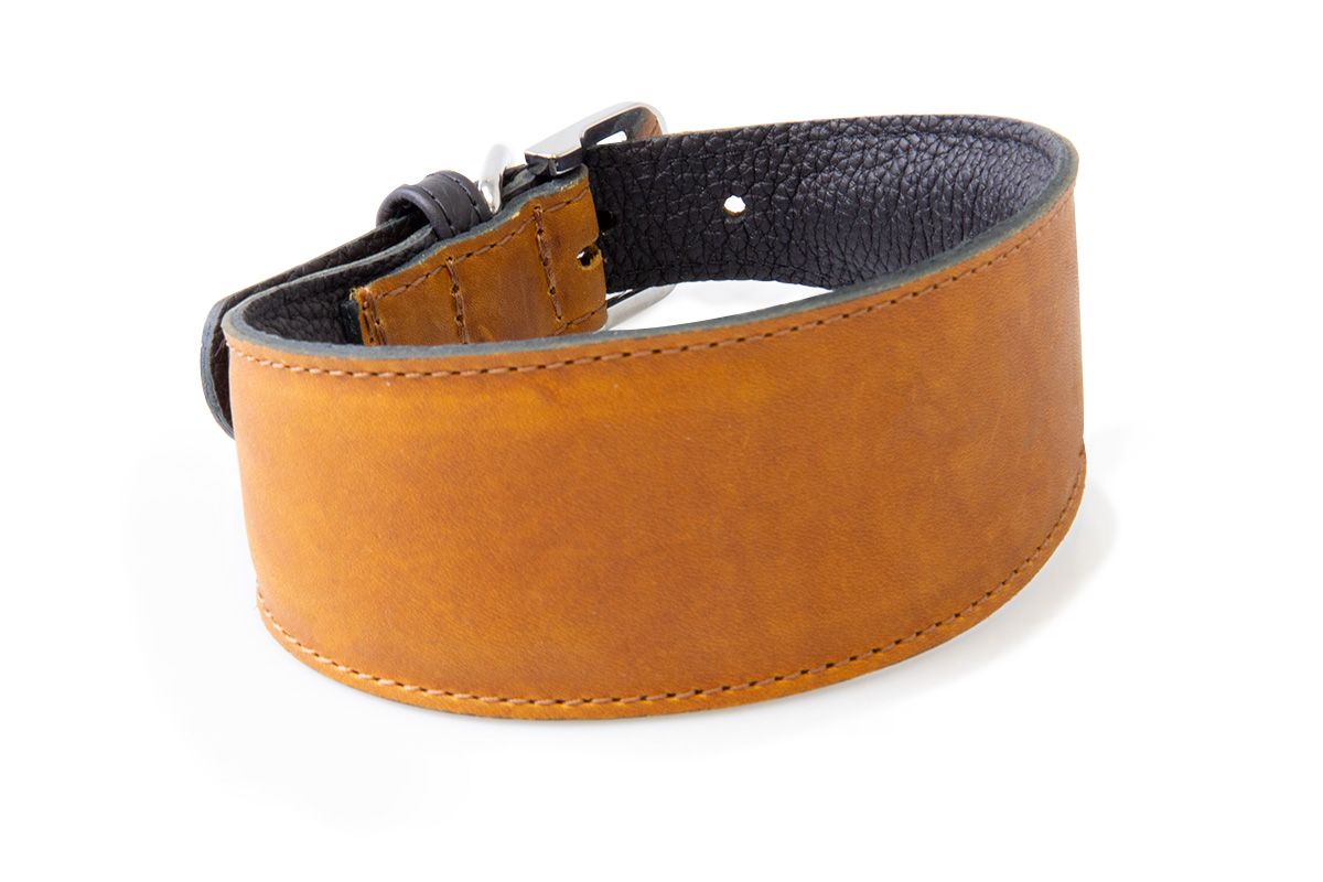 Das Lederband, Windhundhalsband Vancouver, weich und anschmiegsam, Echtleder aus Deutschland, Maroon (35, 40, 45)