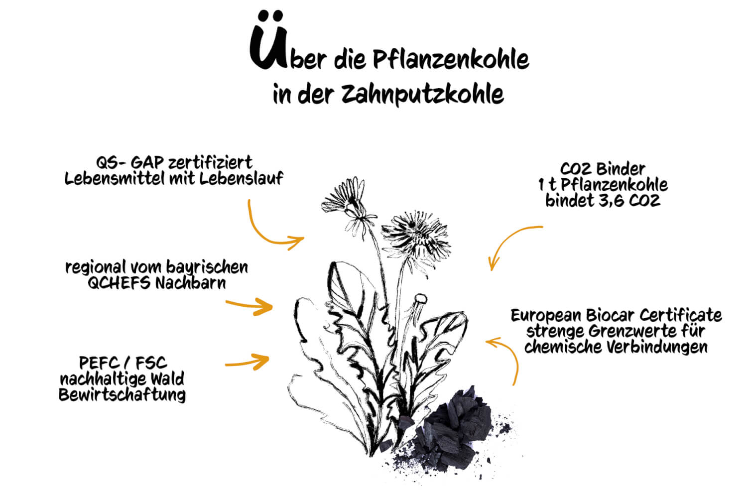 QCHEFS Zahnputzkohle (ZĂ€hne sauber & Darm gesund) â Bild 6